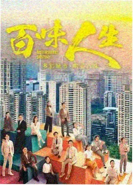 雾港长夜剧集封面